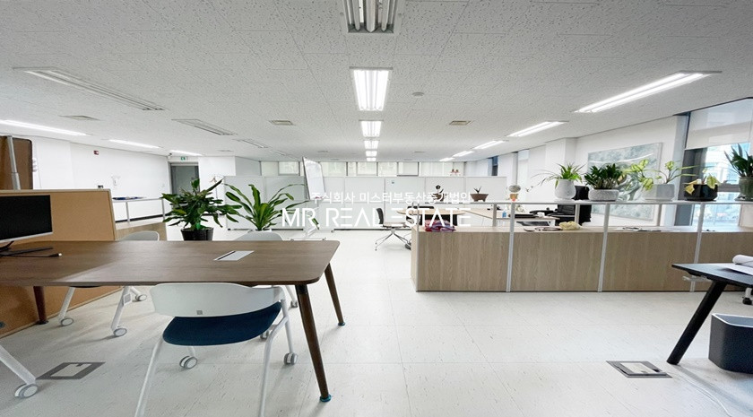 서울 강남구 역삼동 S강남역초근접S실사진O전층사용O주차O룸O채광↑ 월세 매물번호 11613 사진 3